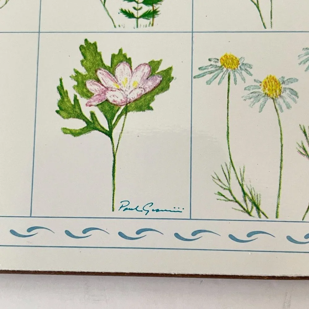 Vintage Jason Drink Coasters Flower Box Cork Backed Rectangle Set 6‎ New Zealand